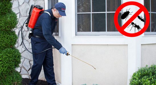 Erdek Böcek İlaçlama böcek ilaçlama ve haşere kontrolü — ilaclama-tr.com